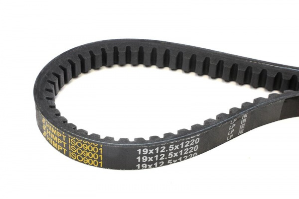 973-12,5*19 ремень (ЗУБ) "ЯРТ"