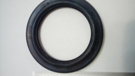 80-110 сальник "Чайковский"