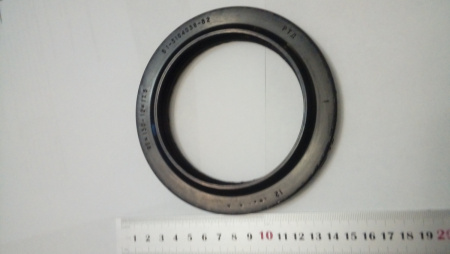 95-130 сальник з/ст Газ-53 "Чайковский"