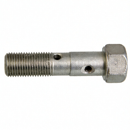 Болт топливной трубки М10*1*40 (2 отв.) 310239-П29