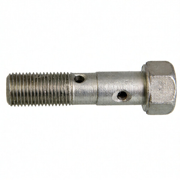 Болт топливной трубки М10*1*40 (2 отв.) 310239-П29