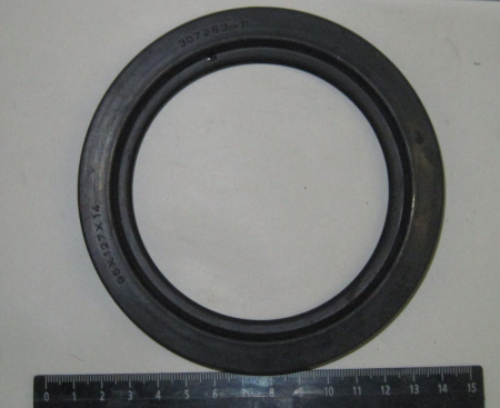 95-127 сальник "Чайковский"